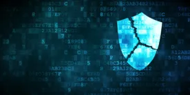 "The Privacy Shield is dead. Long live….what?"